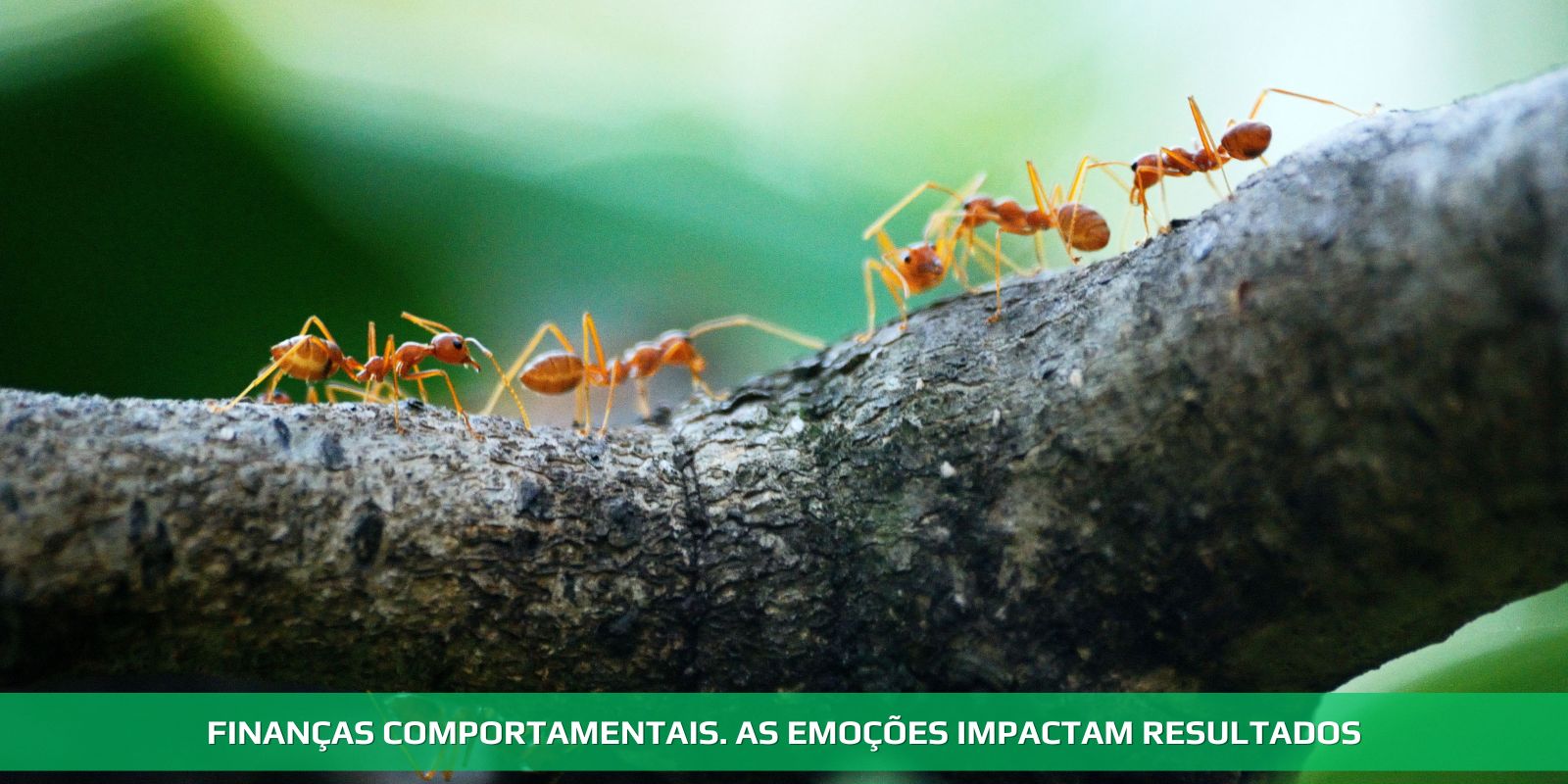 FINANÇAS COMPORTAMENTAIS E PLANEJAMENTO FINANCEIRO